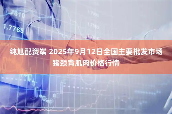 纯旭配资端 2025年9月12日全国主要批发市场猪颈背肌肉价格行情