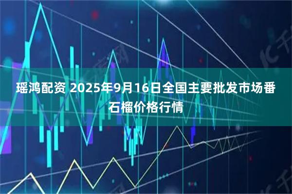 瑶鸿配资 2025年9月16日全国主要批发市场番石榴价格行情