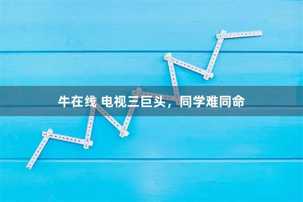 牛在线 电视三巨头，同学难同命