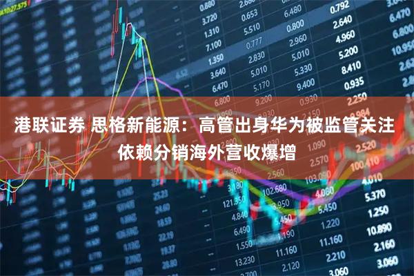 港联证券 思格新能源：高管出身华为被监管关注 依赖分销海外营收爆增