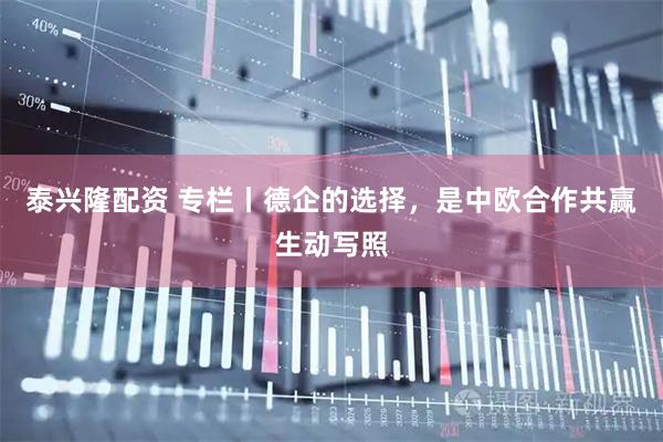 泰兴隆配资 专栏丨德企的选择，是中欧合作共赢生动写照