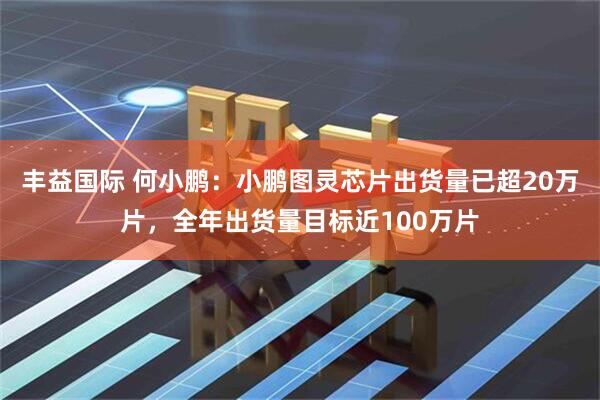 丰益国际 何小鹏：小鹏图灵芯片出货量已超20万片，全年出货量目标近100万片